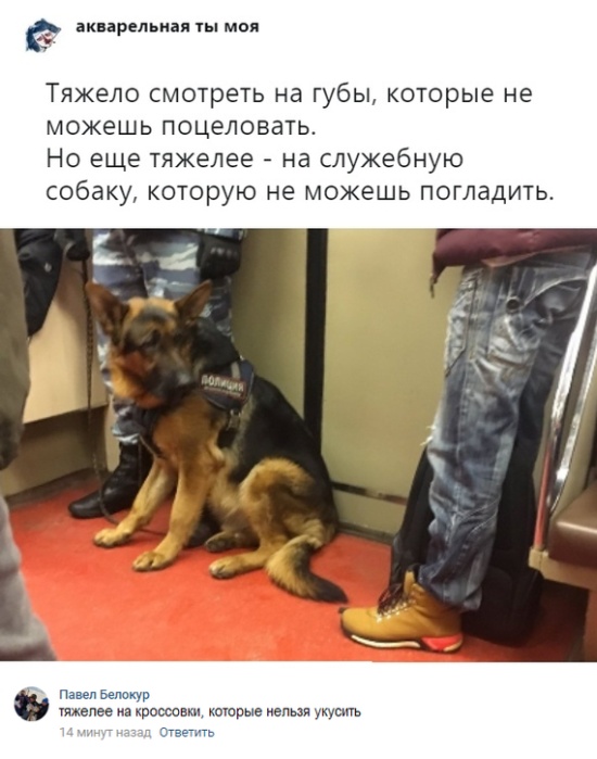 Прикольные картинки