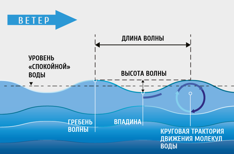 Откуда берутся волны в океане? Откуда берутся волны в океане?