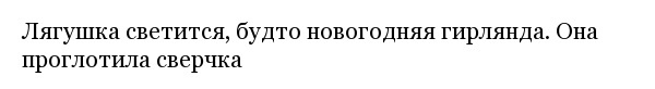 Интересные фотографии обо всем на свете