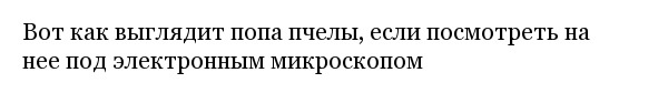 Интересные фотографии обо всем на свете