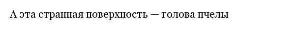 Интересные фотографии обо всем на свете