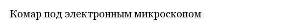 Интересные фотографии обо всем на свете