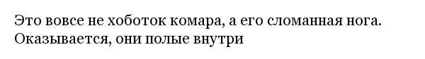 Интересные фотографии обо всем на свете