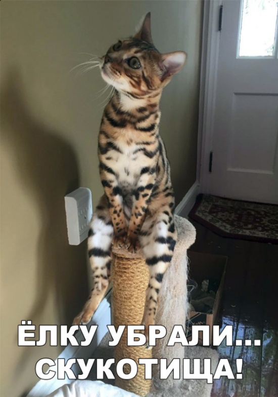 Простой юмор с просторов сети