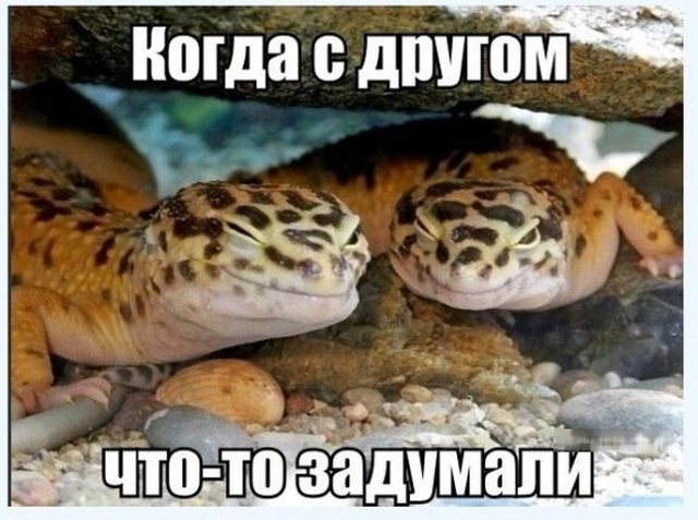 Простой юмор с просторов сети