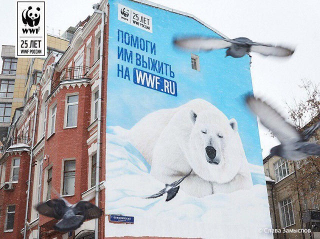 В центре Москвы с фасада здания "пропал" белый медведь
