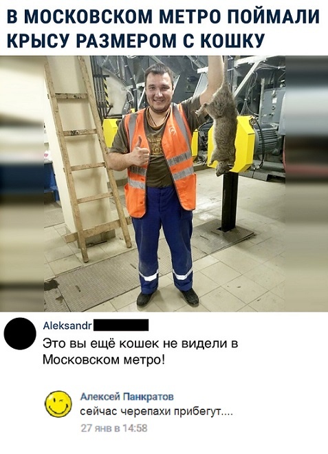 Комментарии и юмор с просторов социальных сетей