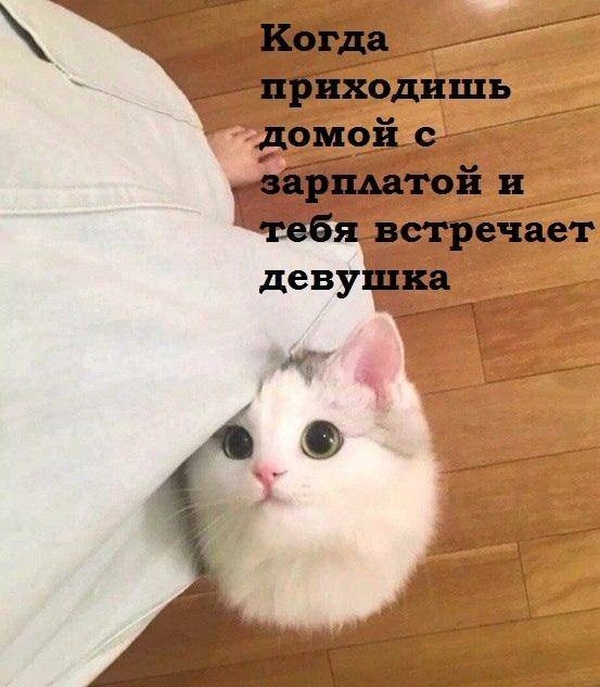Юмор и шутки без смысловой нагрузки