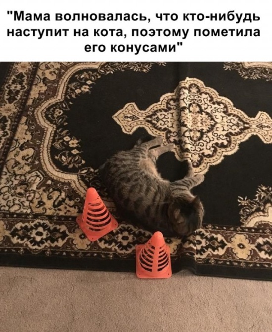 Юмор и шутки без смысловой нагрузки