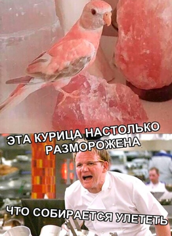 Юмор и шутки без смысловой нагрузки
