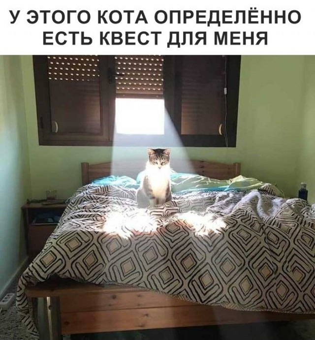 Юмор и шутки без смысловой нагрузки
