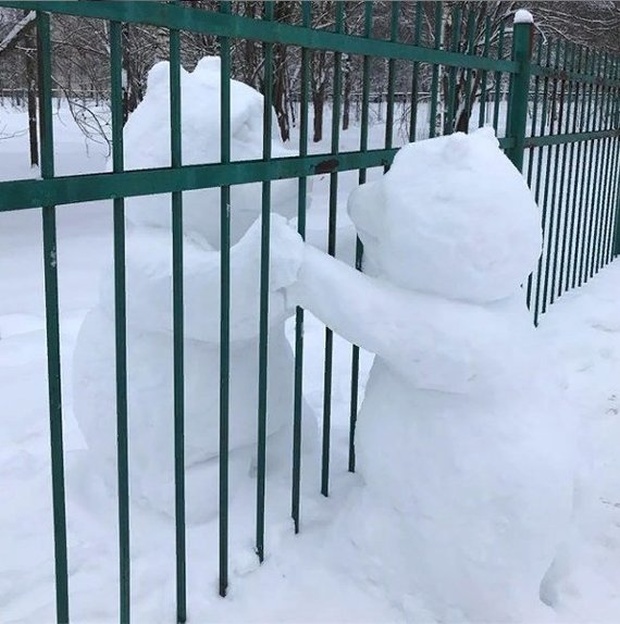 Прикольные картинки