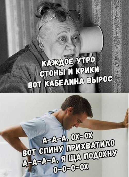 Прикольные картинки