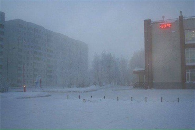 Прикольные картинки