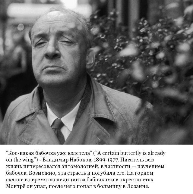 Последние слова известных людей, которые они произнесли перед смертью