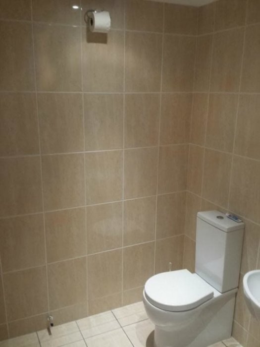Странности, которые можно увидеть в туалетах 