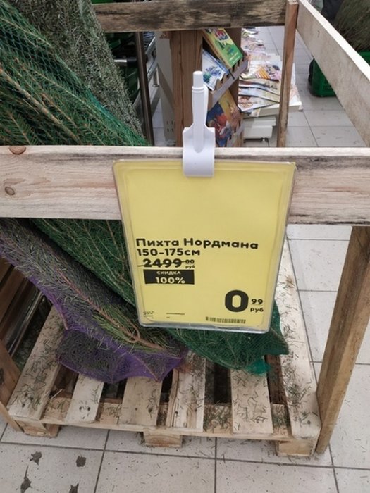 Распродажа непроданных ёлок
