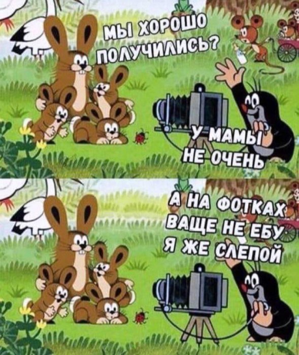 Забавные картинки