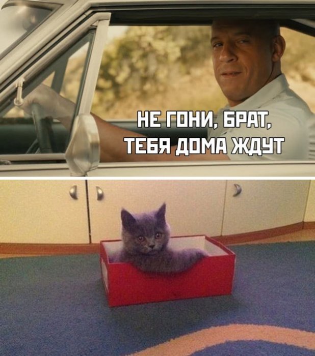 Забавные картинки