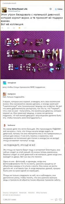 Забавные картинки