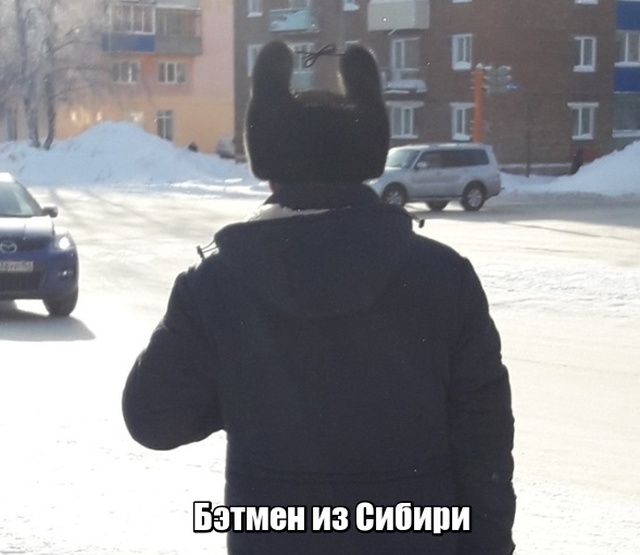 Прикольные картинки