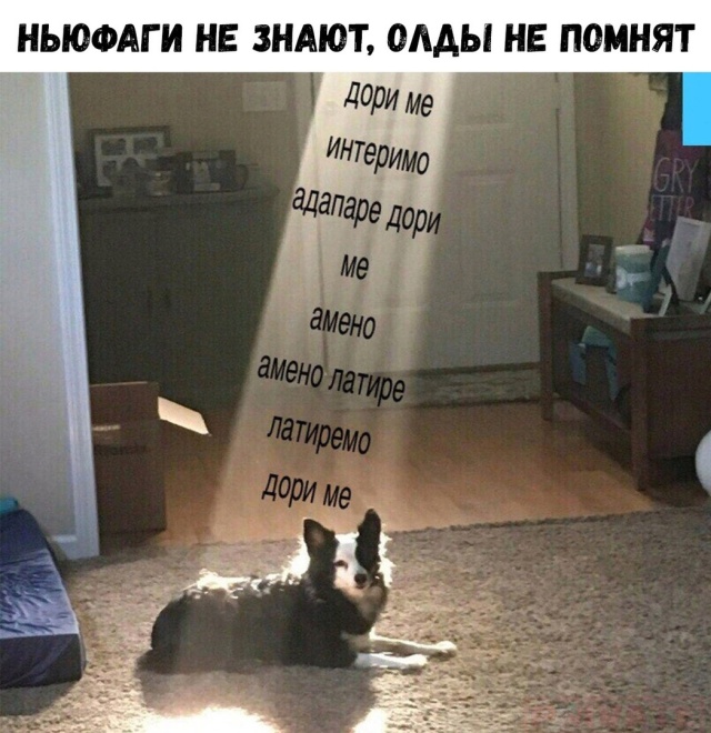 Прикольные картинки