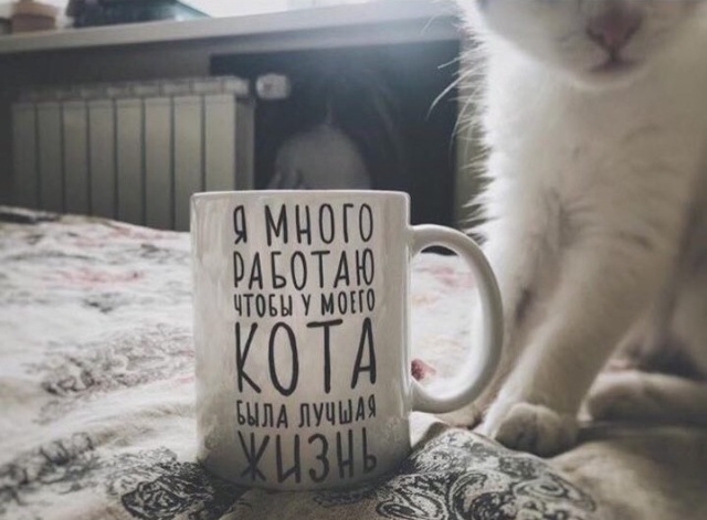 Прикольные картинки
