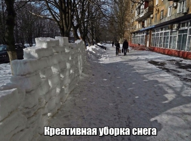 Прикольные картинки