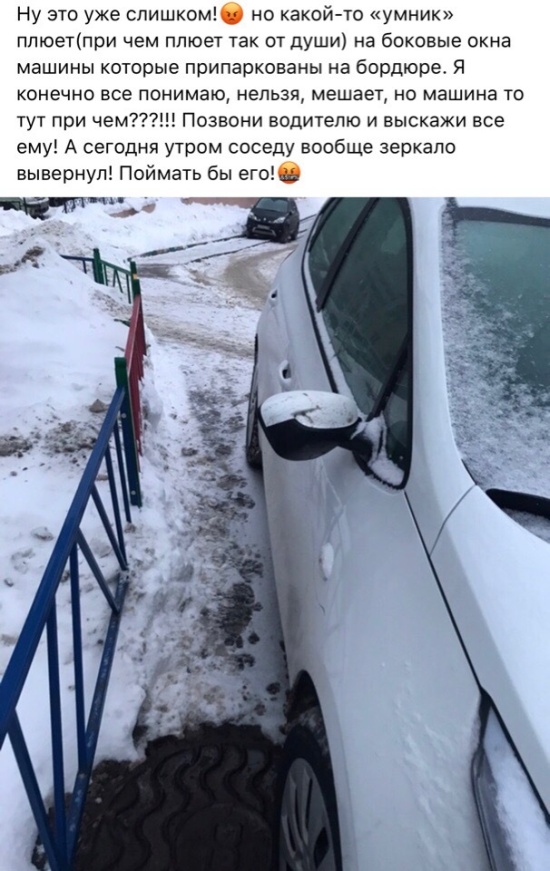 Прикольные картинки