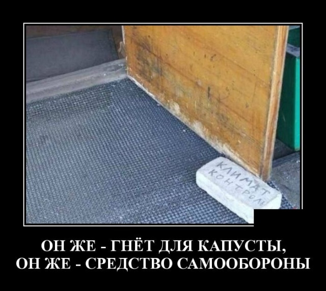 Демотиваторы