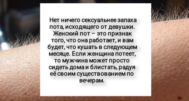 Глупости и различные высказывания из социальных сетей