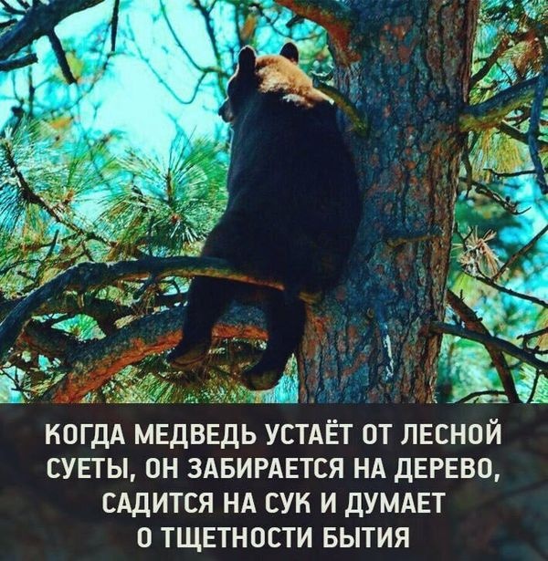 Глупости и различные высказывания из социальных сетей