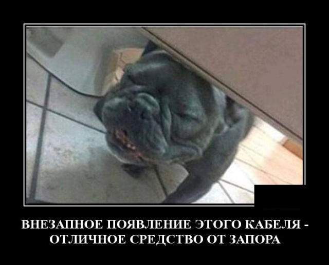 Демотиваторы