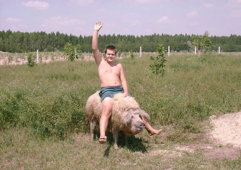 Чудики из социальных сетей