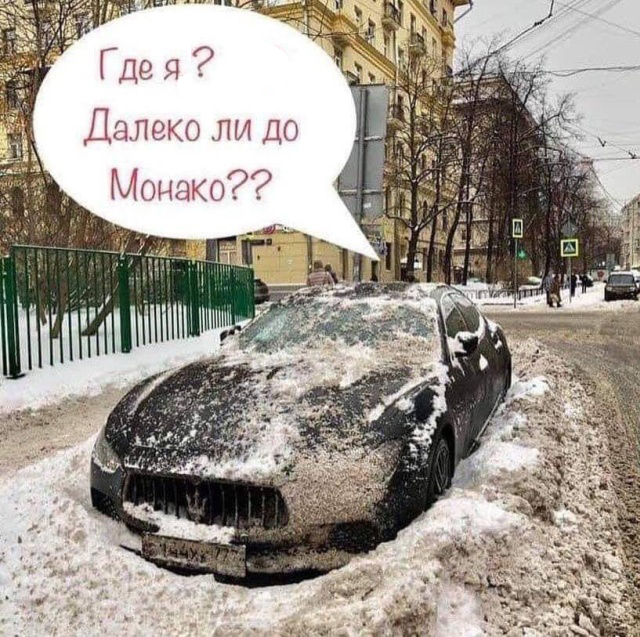 Прикольные картинки