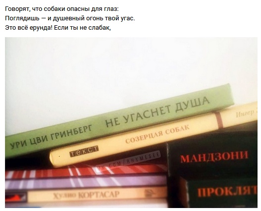 Рифмы обо всем на свете