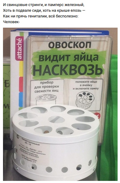 Рифмы обо всем на свете