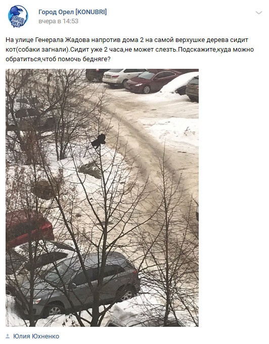Мир не без добрых людей