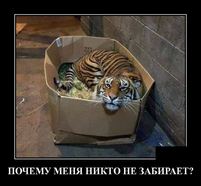 Демотиваторы
