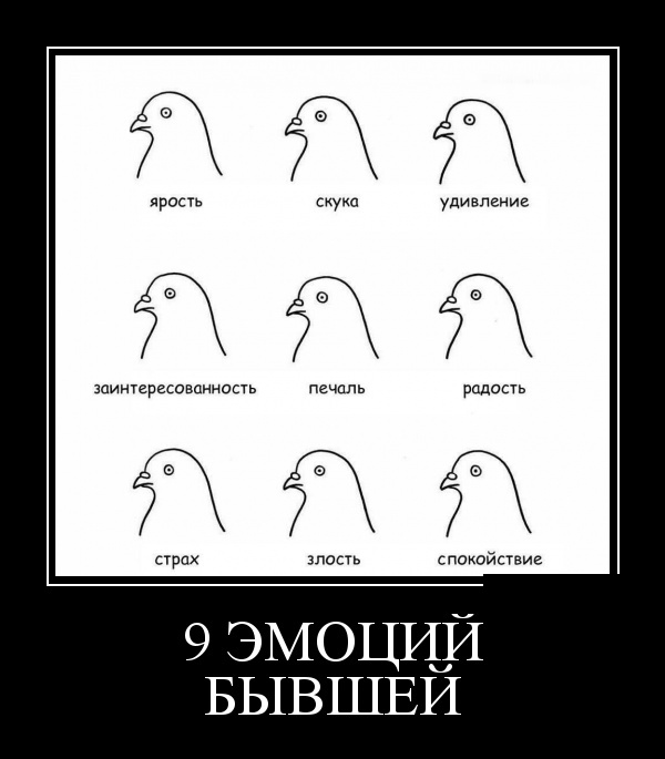 Демотиваторы