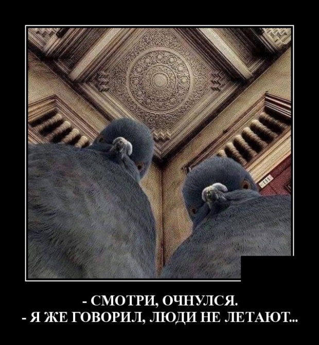 Демотиваторы