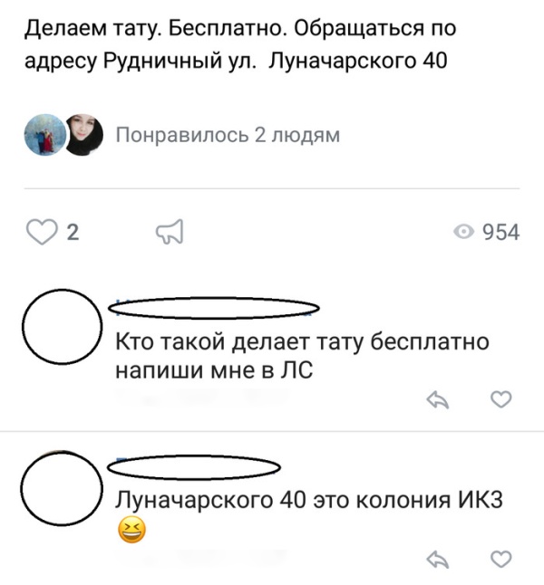 Прикольные картинки