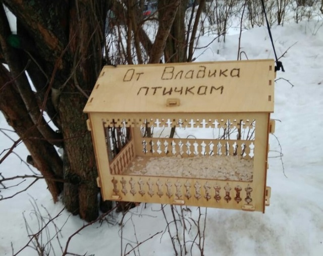 Прикольные картинки