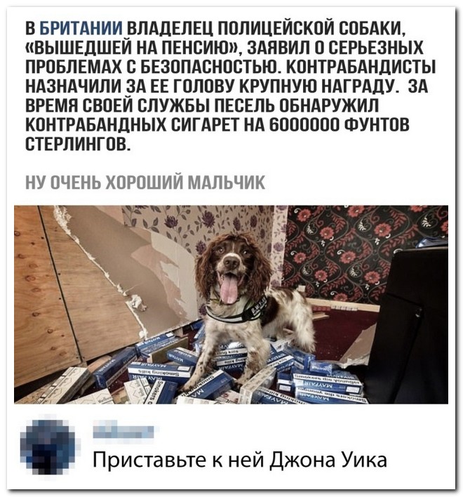 Забавные комментарии из социальных сетей