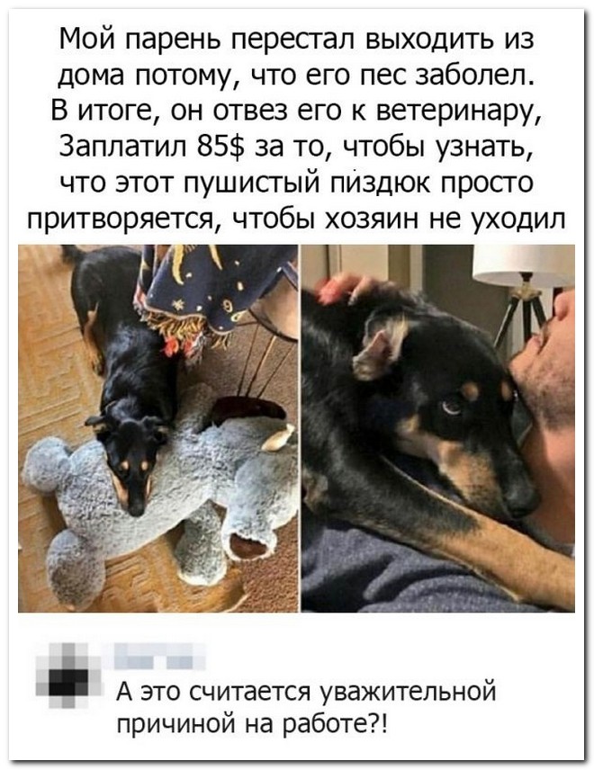 Забавные комментарии из социальных сетей
