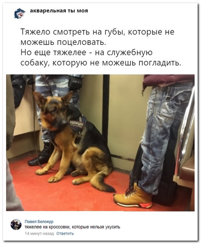 Забавные комментарии из социальных сетей