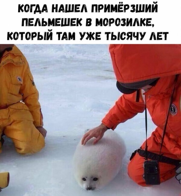 Простой юмор с просторов сети