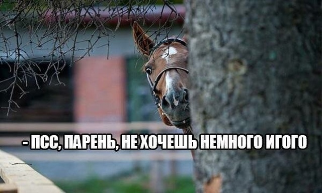 Простой юмор с просторов сети
