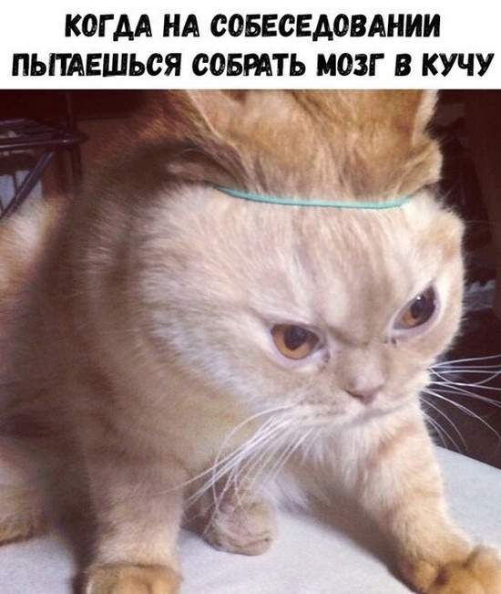 Простой юмор с просторов сети