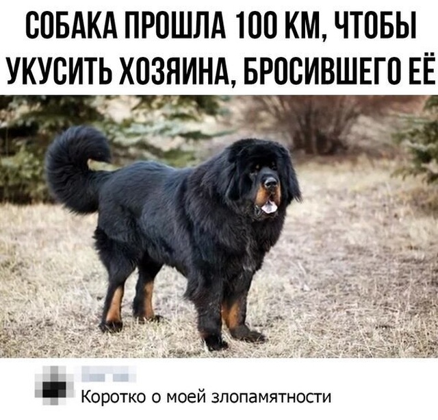 Простой юмор с просторов сети